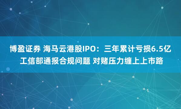 博盈证券 海马云港股IPO：三年累计亏损6.5亿 工信部通报合规问题 对赌压力缠上上市路